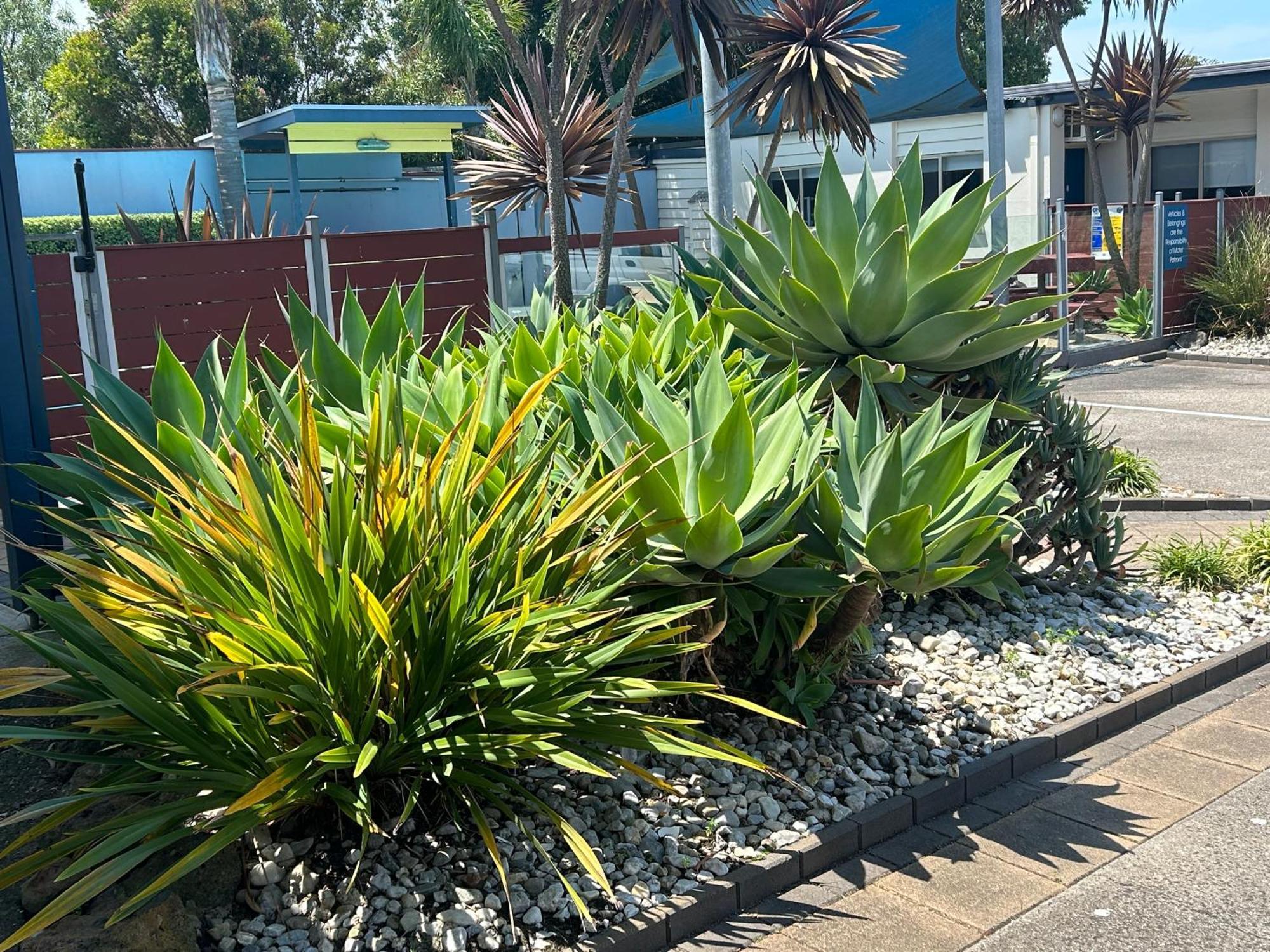 Portarlington Beach Motel Kültér fotó